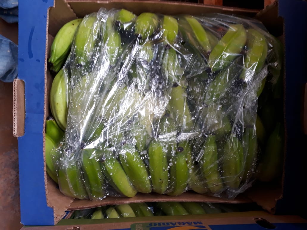 WhatsApp Image 2020-02-06 at 14.17.36.jpeg