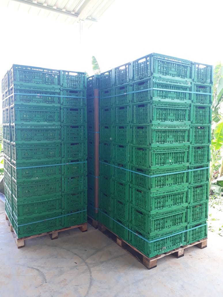 WhatsApp Image 2020-02-03 at 13.27.53.jpeg