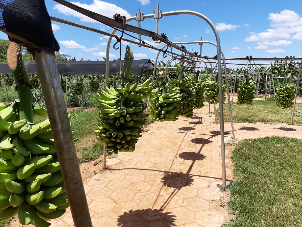 WhatsApp Image 2020-02-07 at 07.36.28.jpeg