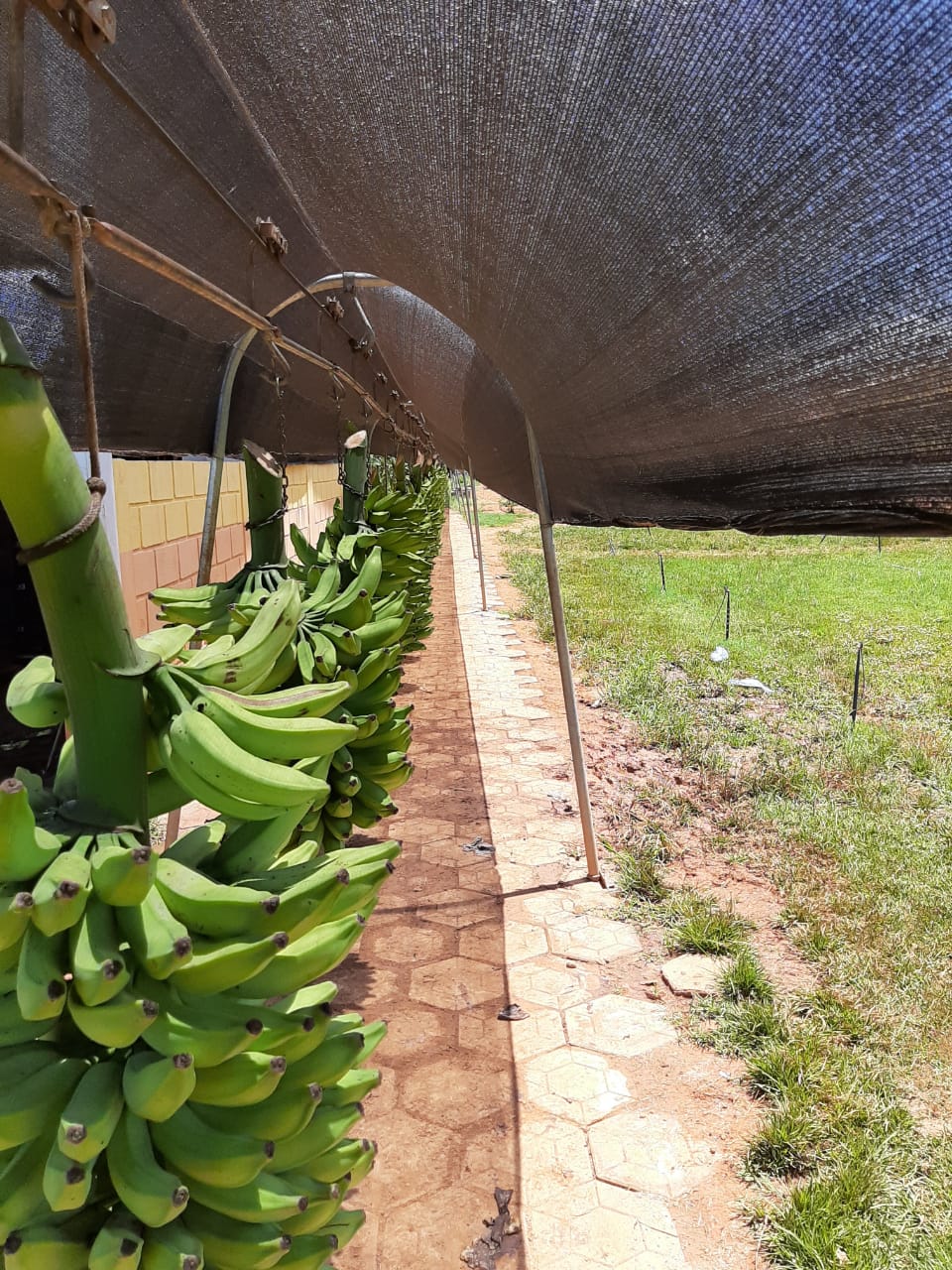 WhatsApp Image 2020-02-07 at 07.36.08.jpeg