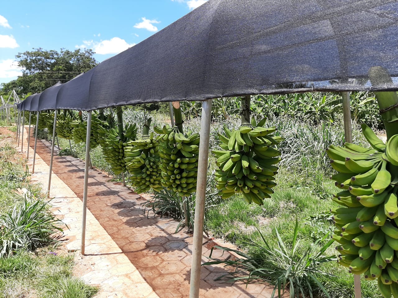 WhatsApp Image 2020-02-07 at 07.36.02.jpeg