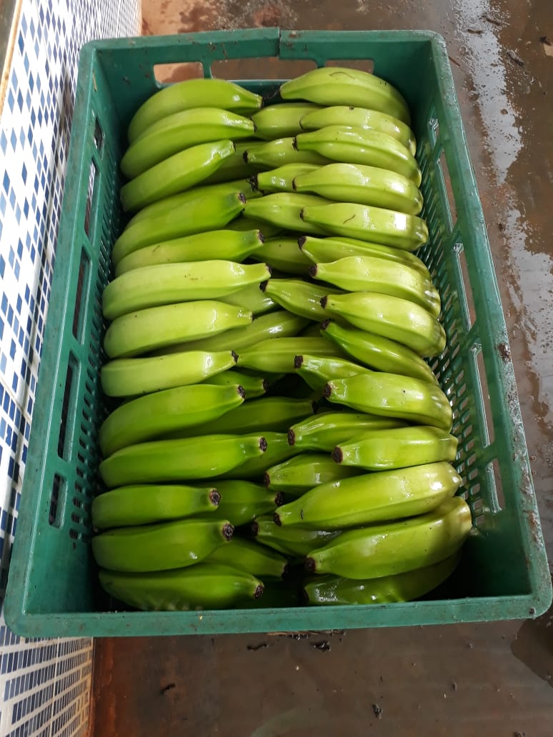 WhatsApp Image 2020-02-04 at 16.32.54.jpeg