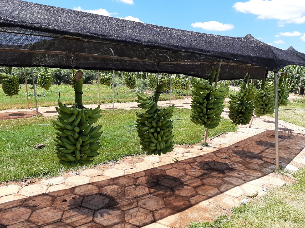 WhatsApp Image 2020-02-07 at 07.36.07.jpeg