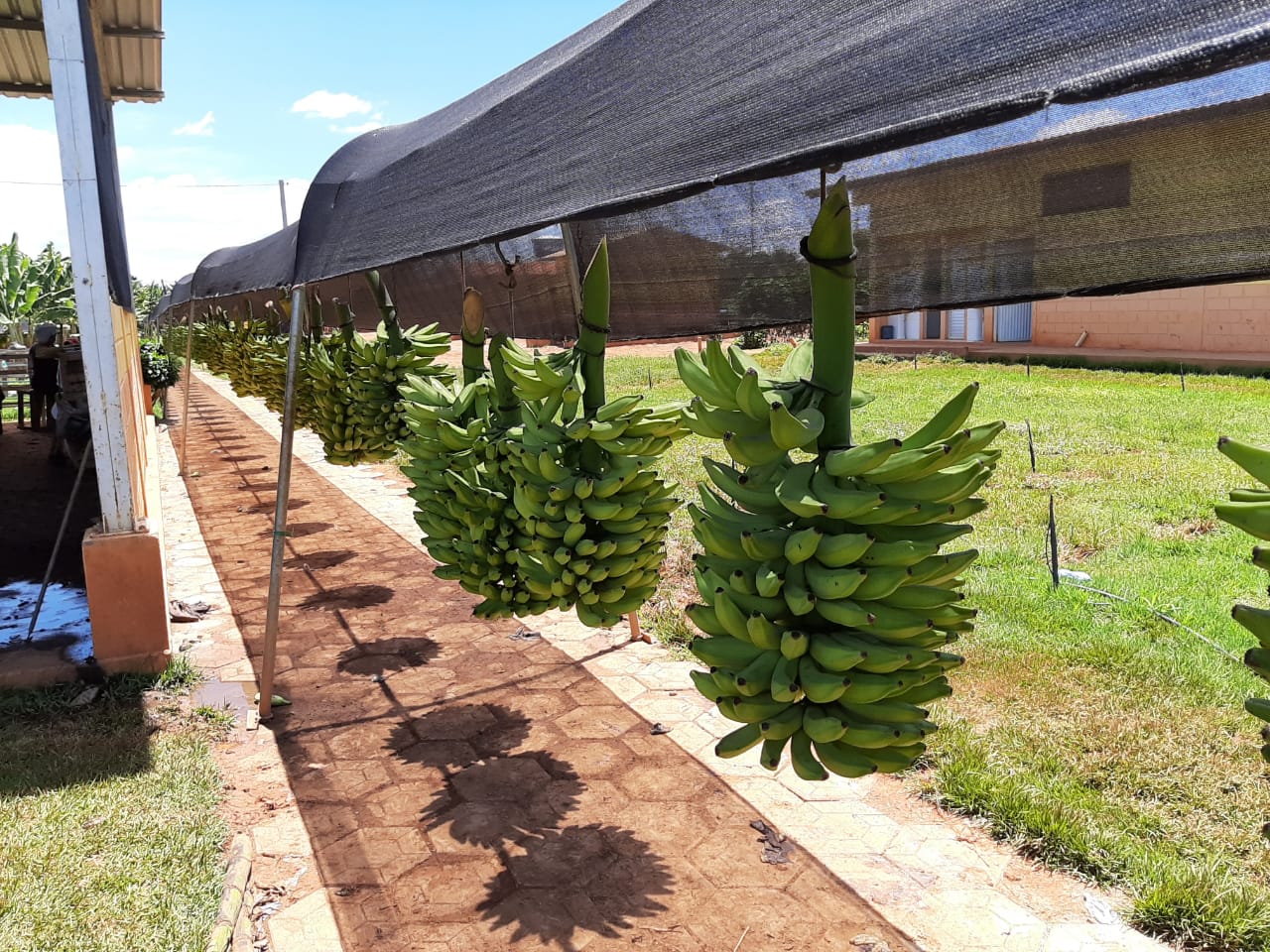 WhatsApp Image 2020-02-07 at 07.36.28 (1).jpeg