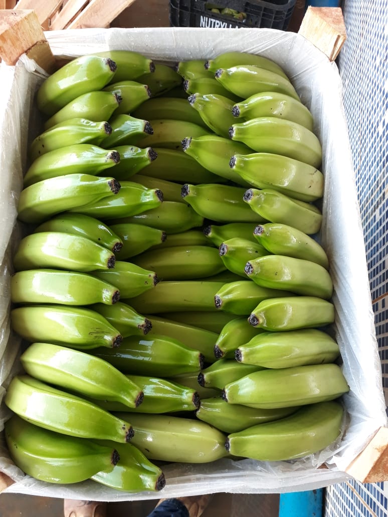 WhatsApp Image 2020-02-03 at 15.15.58.jpeg