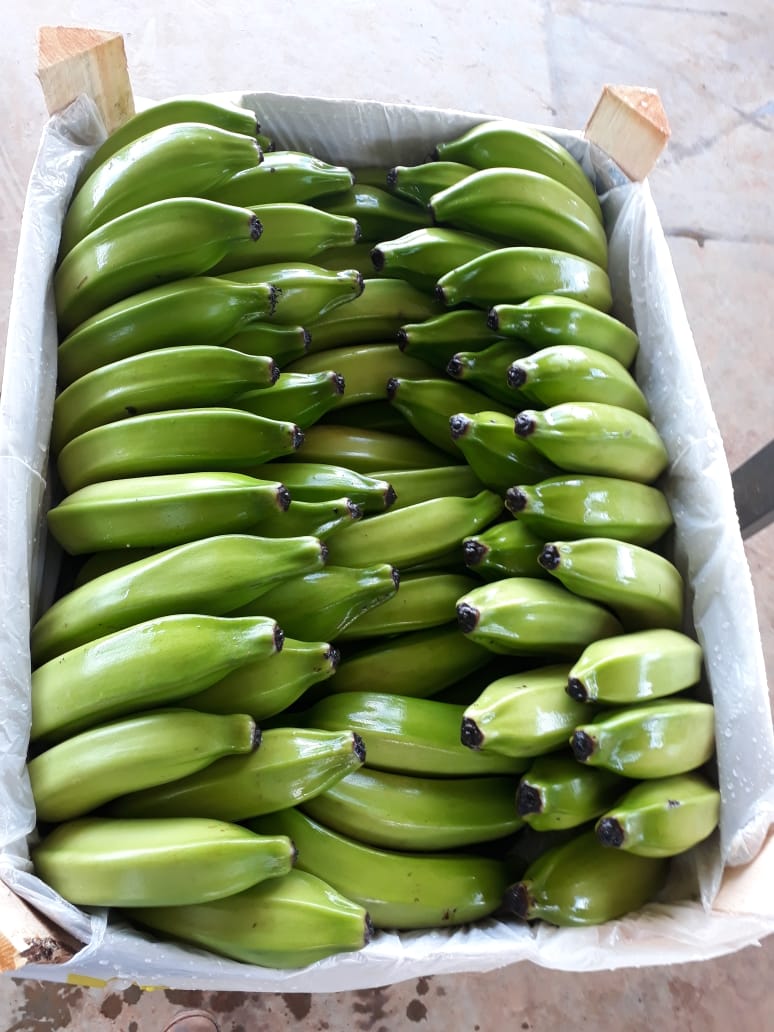 WhatsApp Image 2020-02-03 at 15.17.27.jpeg