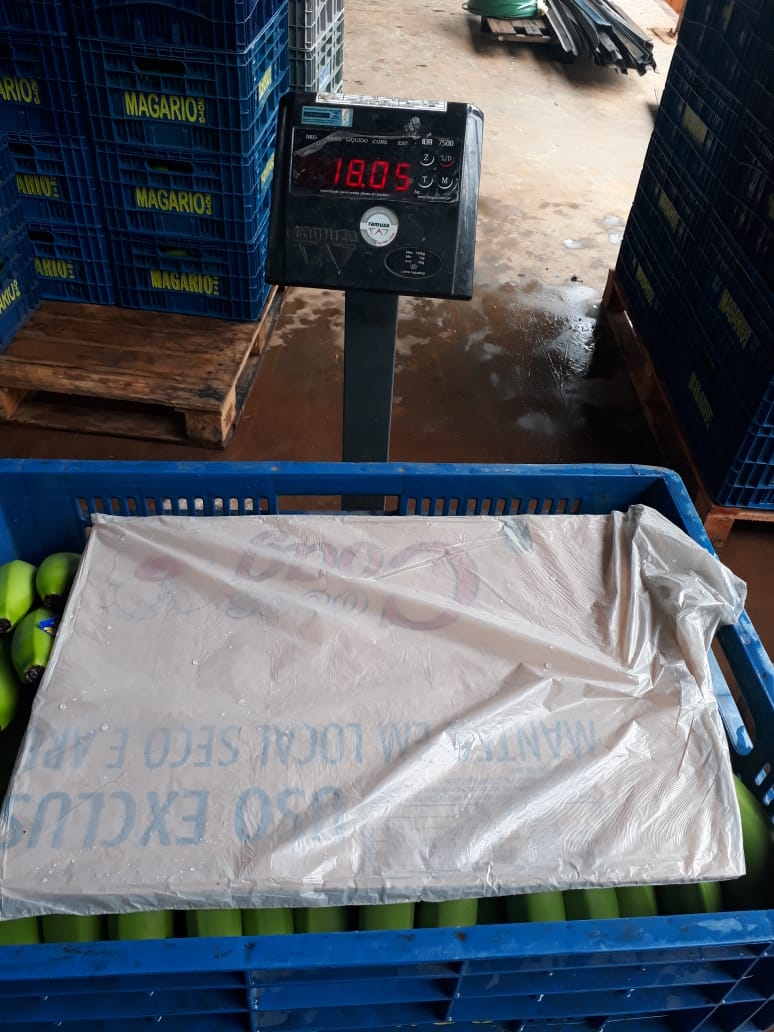 MAGARIO RIBEIRÃO EVALDO FAZ UIRAPURU 4 (14) CG 00130.jpeg