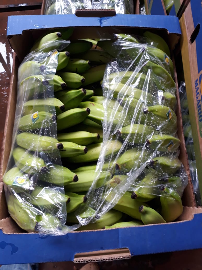 WhatsApp Image 2020-02-06 at 14.17.35.jpeg