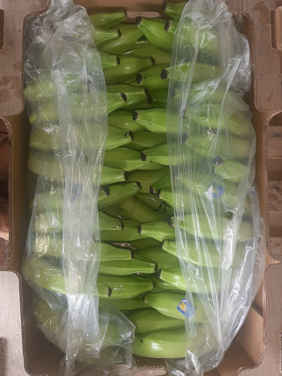 WhatsApp Image 2020-02-07 at 07.36.29.jpeg