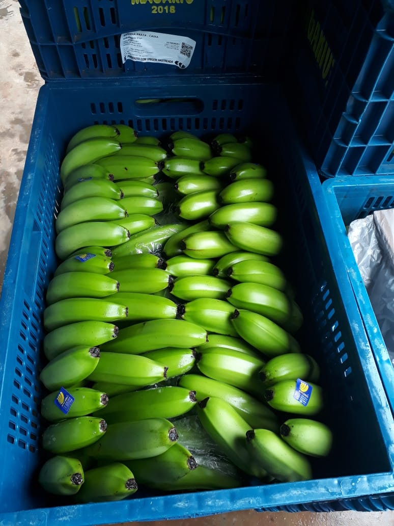 MAGARIO RIBEIRÃO EVALDO FAZ UIRAPURU 4 (12) CG 00130.jpeg