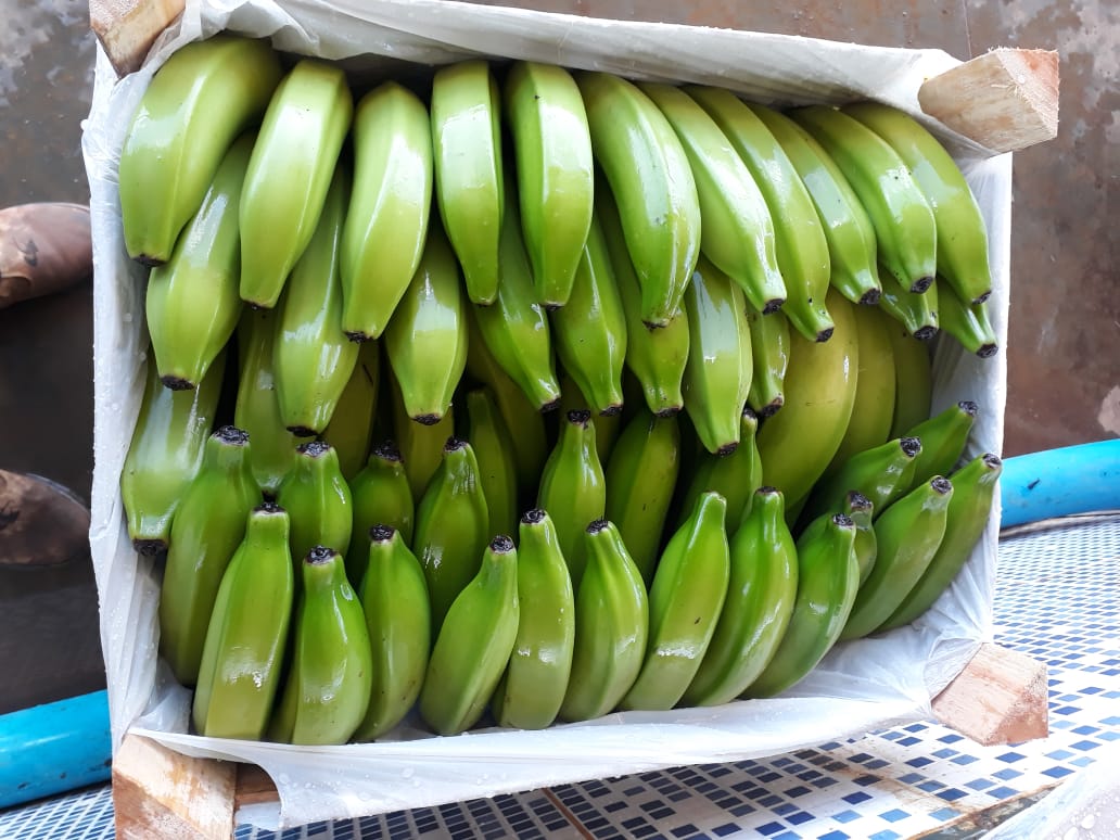 WhatsApp Image 2020-02-03 at 15.17.52.jpeg